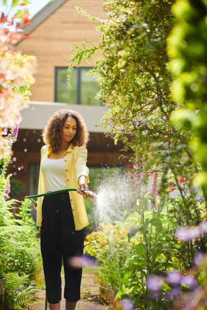 istock watering the garden 1343593023