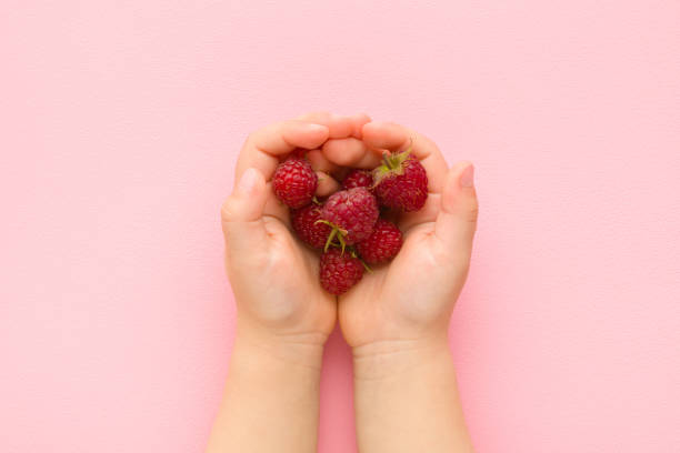 istock Baby opened palms holding heap of fresh red raspberry on light pink table background. Pastel color. Closeup. Point of view shot. Top down view. 1343595004