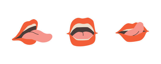 ilustraciones, imágenes clip art, dibujos animados e iconos de stock de conjunto de bocas abiertas, labios femeninos, dientes y lengua. boca parlante en diferentes versiones. parte del cuerpo humano elemento plano aislado sobre fondo blanco. - human mouth mouth open shouting screaming