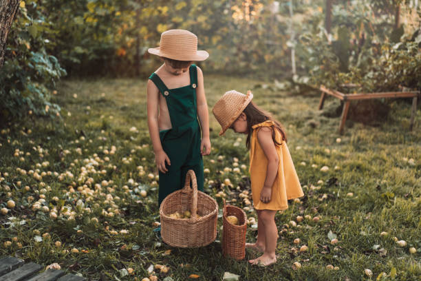 istock Children in the garden look into baskets with pears 1343595182
