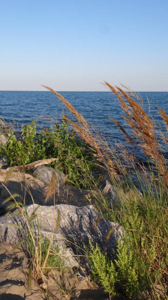 istock Hometown lakefronts in Illinois. 1343595536