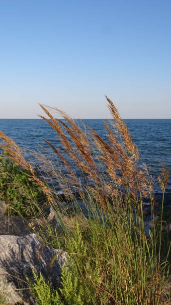istock Hometown lakefronts in Illinois. 1343595538
