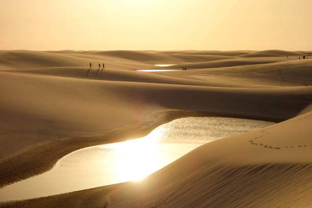 parc national de lencois maranhenses, brésil. dunes et lagunes, au coucher du soleil - oasis sand sand dune desert photos et images de collection