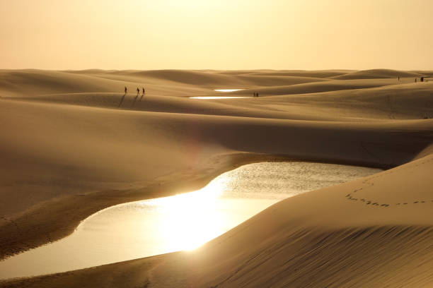 Lencois Maranhenses national park, Brazil. Dunes and lagoons, on sunset Lencois Maranhenses national park, Brazil. Dunes and lagoons, on sunset. oasis sand sand dune desert stock pictures, royalty-free photos & images