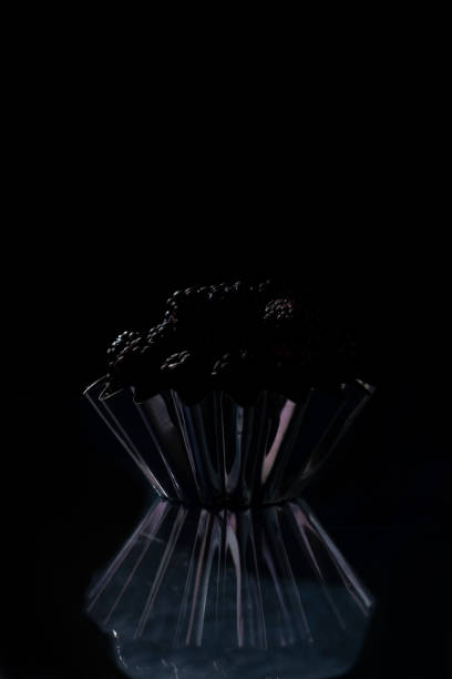 black berry on a black background in a rustic style.