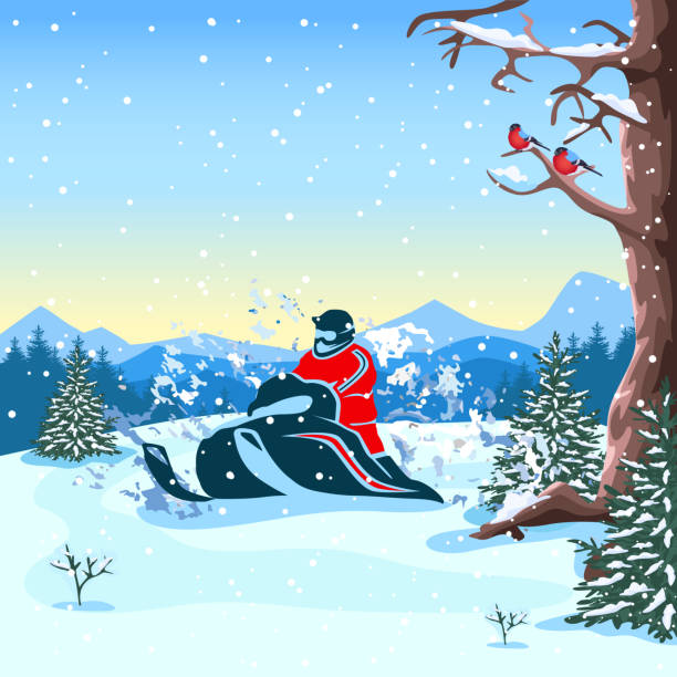 snowmobile Vector illustration of a young man riding a snowmobile in the forest against the background of mountains. Winter recreation and sports. Active lifestyle. Extreme sports. extreme skateboarding stock illustrations