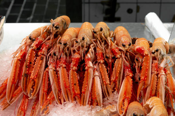 istock Fresh langoustines on the market 1343597920