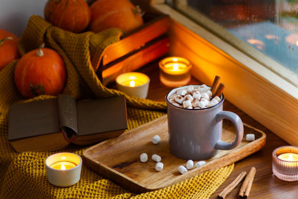 istock a cup of hot chocolate with marshmallows is on the window 1343600292