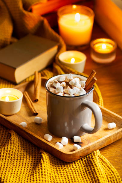 istock a cup of hot chocolate with marshmallows is on the window 1343600304