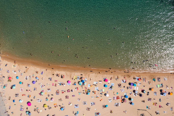 istock Aerial view of beach at summer day 1343600592
