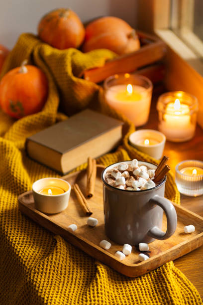 istock a cup of hot chocolate with marshmallows is on the window 1343600765