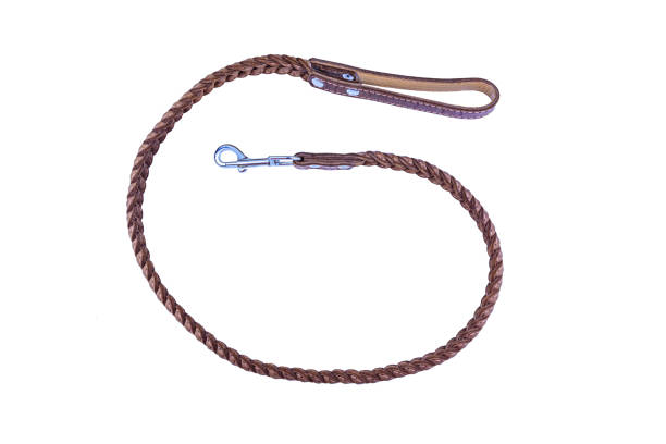 Brown leather dog leash isolated on a white background stock photo