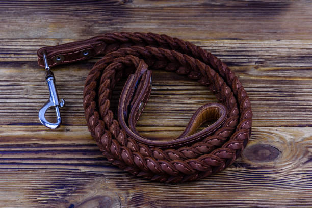 istock Brown leather dog leash on a wooden background 1343604636