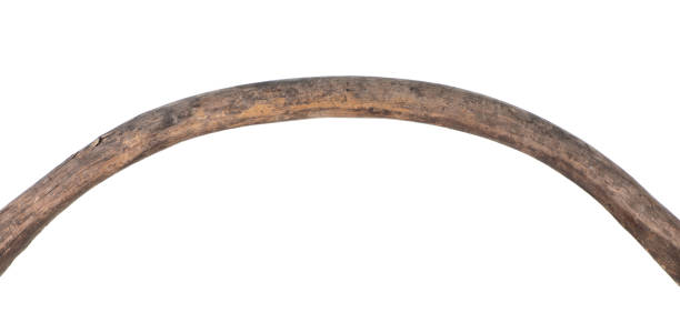 istock yoke,old bent wooden stick isolated on white background 1343604979