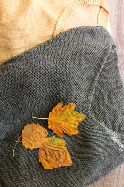 istock Sweaters and Autumn Leaves 1343605835