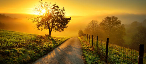 istock Rural landscape in magnificent golden light 1343608179