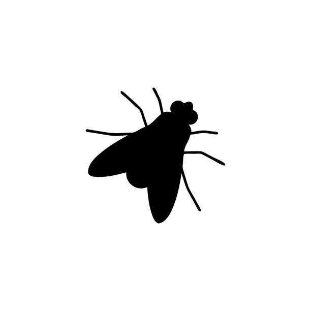 Fly black silhouette. Insect imprint on white surface Fly black silhouette. Insect imprint on white surface. Creeping winged pest and carrier of vector infections housefly stock illustrations