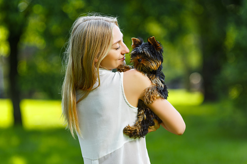 Dog and his owner. Funny puppy of yorkshire terrier and young woman having fun in a park. Concept of friendship between people and pets