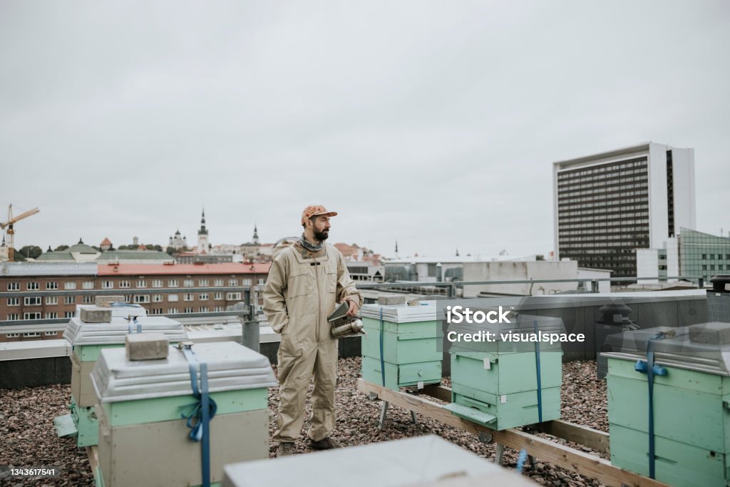Urban beekeeper on rooftop Beekeeper standing near urban apiary on rooftop. Contemplation Stock Photo