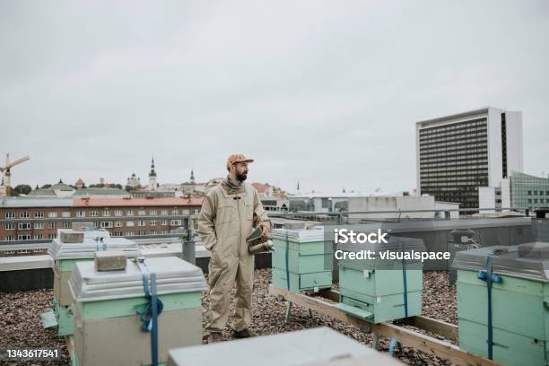 Urban Beekeeper On Rooftop Stock Photo - Download Image Now - Contemplation, Environmental Conservation, Full Length