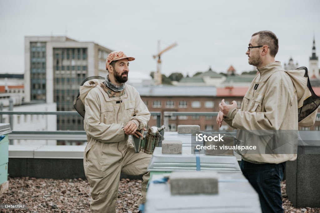 Urban beekeepers having a discussion Two urban beekeepers having a chat on the rooftop Sustainable Lifestyle Stock Photo