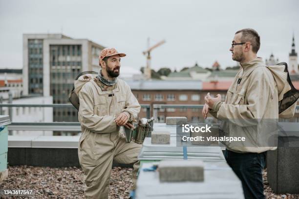 Urban Beekeepers Having A Discussion Stock Photo - Download Image Now - Sustainable Lifestyle, Sustainable Resources, Portrait