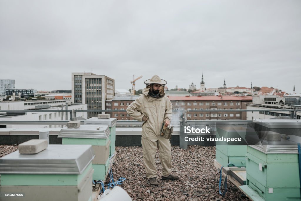 Beekeeper working on rooftop Urban beekeeper working on rooftop in the city. Bee Stock Photo