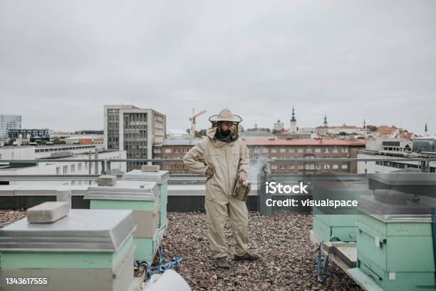 Beekeeper Working On Rooftop Stock Photo - Download Image Now - Bee, Beehive, Contemplation