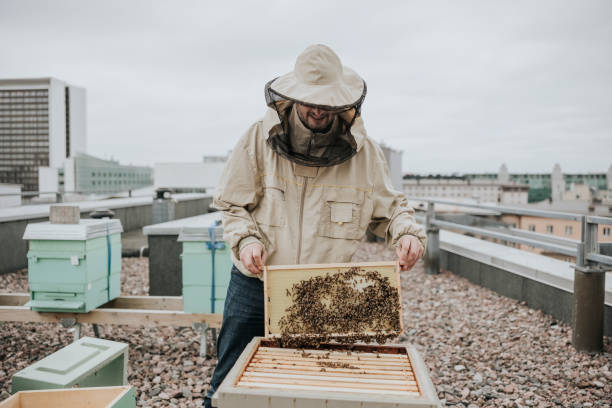 retrato do apicultor urbano - built structure green business city - fotografias e filmes do acervo