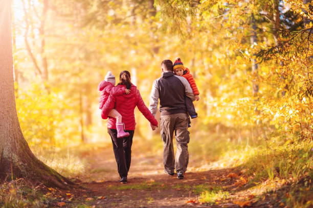 familienwanderung auf dem wanderweg im herbstlichen naturpark - park tree light autumn stock-fotos und bilder