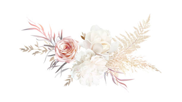 illustrazioni stock, clip art, cartoni animati e icone di tendenza di lussuoso bouquet di design vettoriale beige e blush alla moda. - magnolia flower beige white