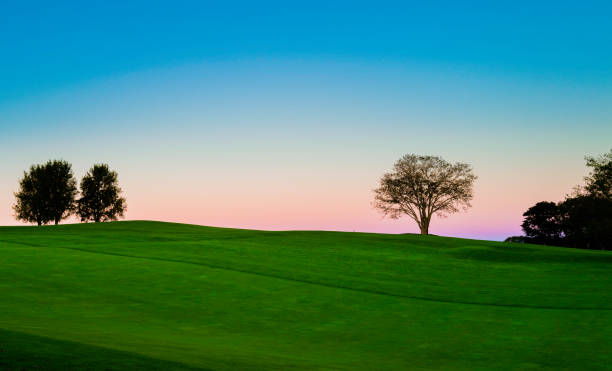 paysage tranquille de lever de soleil sur la colline verdoyante avec des arbres en silhouette. ciel bleu et rose et herbes vertes au-dessus de la colline. simplicité, tranquillité et beauté équilibrée dans la nature. - massachusetts landscape new england spring photos et images de collection
