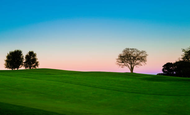 Tranquil sunrise landscape over the green hill with trees in silhouette. Blue and pink sky and green grasses over the rolling hill. Simplicity, tranquility, and balanced beauty in nature. Nature trail landscape at dawn along the glacial moraine trail on Cape Cod in the fall autumn copy space rural scene curing stock pictures, royalty-free photos & images