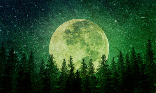 Fantasy Full Moon Behind Evegreen Forest with Starry Night Sky - Atmospheric Mood.  Elements of this image furnished by NASA. - Source:  Supermoon - 201408100002HQ_orig URL: https://www.nasa.gov/sites/default/files/201408100002hq.jpg
