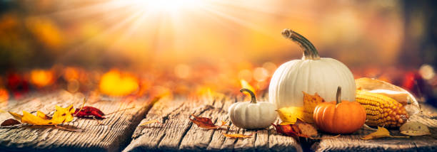 istock Mini Pumpkins, Corn And Leaves On Wooden Harvest Table 1343650600