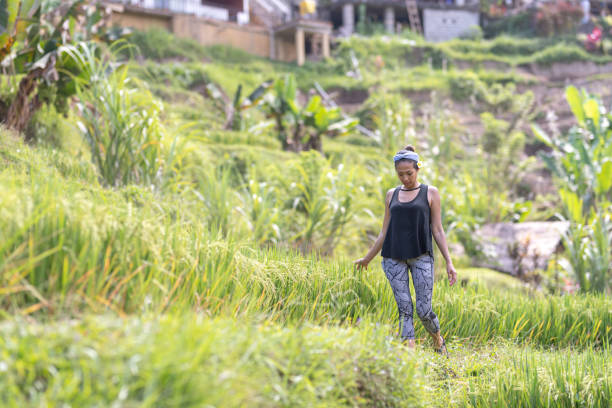 istock Ethnic female tourist walking through rice paddies while visiting Bali, Indonesia 1343650721