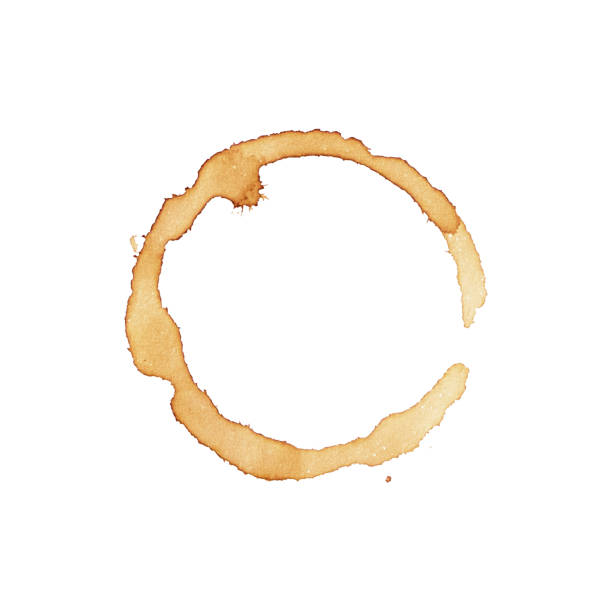 istock Dot circle from the bottom cup- real coffee water paint on white paper in many strokes and technique of a brush. Illustration aroma beverage brush as coffee art isolated on white background. 1343652605