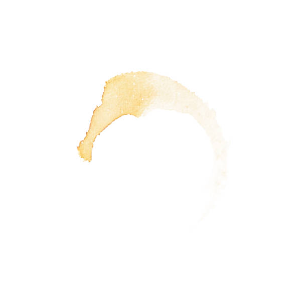 istock Dot circle from the bottom cup- real coffee water paint on white paper in many strokes and technique of a brush. Illustration aroma beverage brush as coffee art isolated on white background. 1343652606