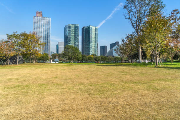 istock Green city against clear sky,shanghai 1343653425
