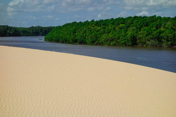 istock sand dunes facing a tropical river and forest in a sunny day 1343655179