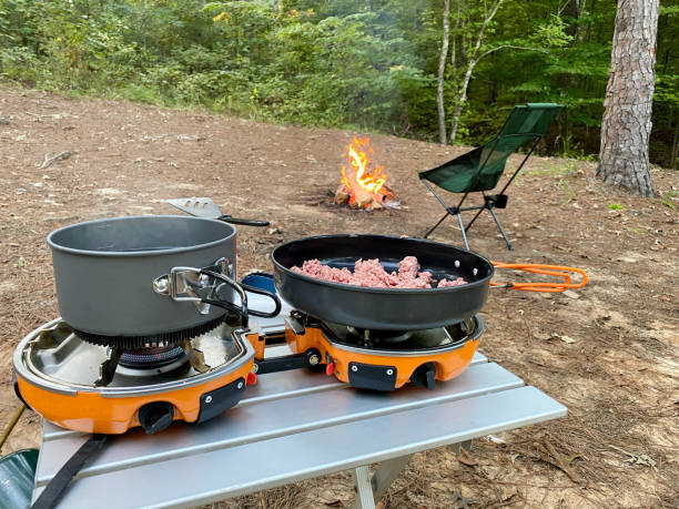istock Cooking meat in campsite with campfire in background 1343656131