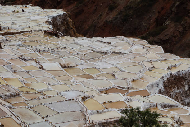 istock Salines of Maras, Peru. Salt extraction through evaporation 1343658644