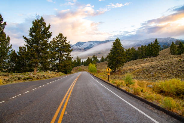 Autumn scene in Lamar Valley in Yellowstone