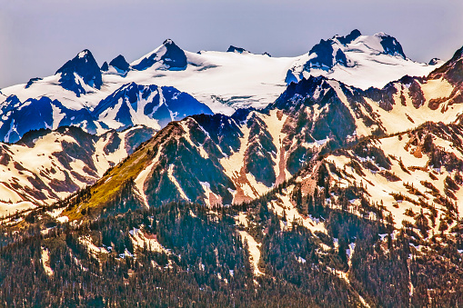Snow Mountains Hurricane Ridge Olympic National Park Washington State Pacific Northwest Closeup Evergreen