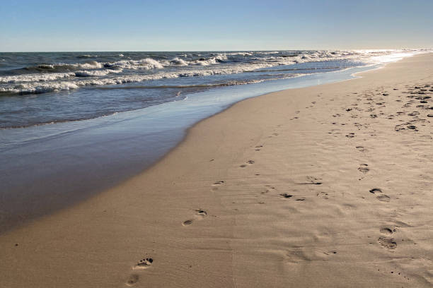 Morning at Lake Michigan Beach