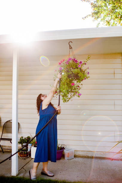 istock Mature Hispanic Woman Watering Plants 1343665374
