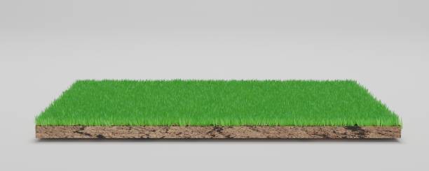 istock 3D rendering. Green grass land piece isolated on background. 1343665469