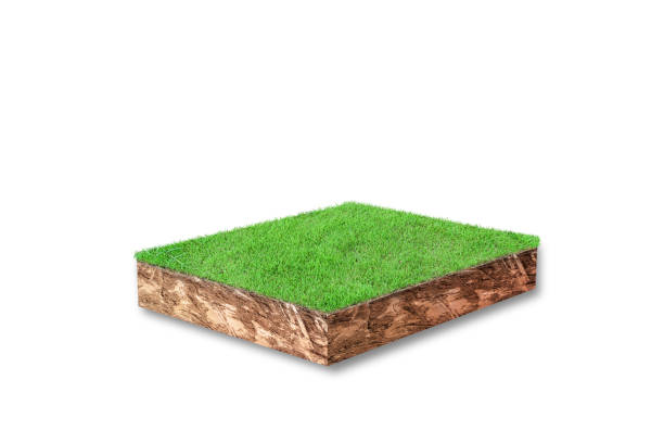 istock Soil cubical cross section with green grass isolated on white background 1343665476