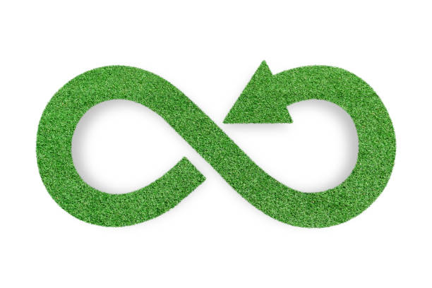 istock Green grass arrow icon isolated on white background. ecological concept. 1343665551