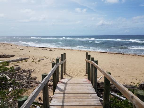 istock wood walkway or path to beach with ocean 1343665781
